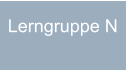 Lerngruppe N